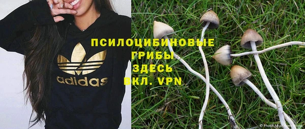 ПСИЛОЦИБИНОВЫЕ ГРИБЫ Каменногорск