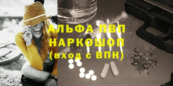 ПСИЛОЦИБИНОВЫЕ ГРИБЫ Каменногорск