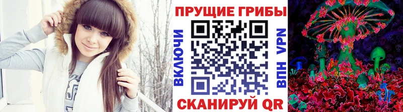 Купить закладки Кондрово Псилоцибиновые грибы ЛСД